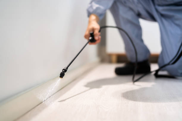 Bed Bug Pre-Treatment Preparation Assessment in St. Bernard