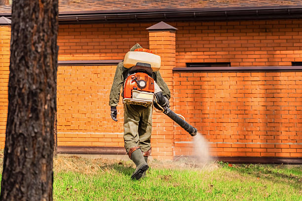 Bed Bug Clearance Verification and Documentation in St. Bernard